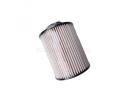 Oil Filter Element  - 1105014p31f0