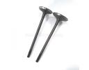 Intake & Exhaust Valves - 96352793