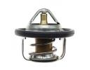 Thermostat - 17670-77E00