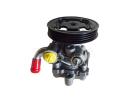 Power Steering Pump - 49100-81A20