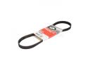 Water Pump Belt - 17521-64J00