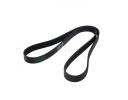 Ribbed V-Belt - 252122E820