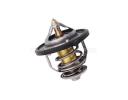 Thermostat - 255002E000