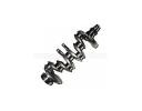 Crankshaft - 231102E001