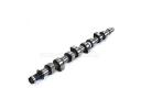 Camshaft - 242002B020
