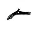 Control Arm - 545002Y002