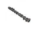 Camshaft - 241002B660-B