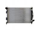 Radiator - 253103X101
