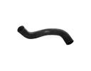 Radiator Hose - 254123X001