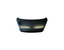 Hood - 664001Y010