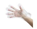 LDPE Gloves - PBH6002