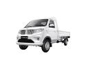 Shineray T30
